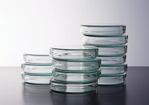 おおたかの森の歯医者徹底ガイド2025｜最適なクリニック選びと通院のポイント