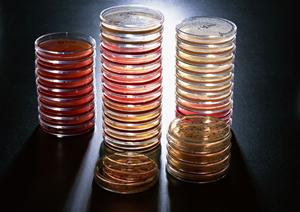 臨時透析が受けられる東京のクリニック